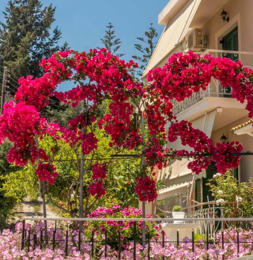 Vicky'S Guesthouse Kávos Dış mekan fotoğraf
