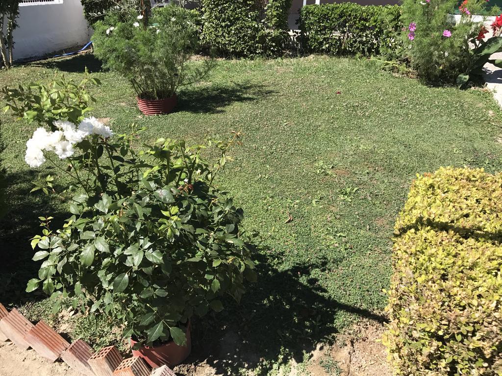 Vicky'S Guesthouse Kávos Dış mekan fotoğraf